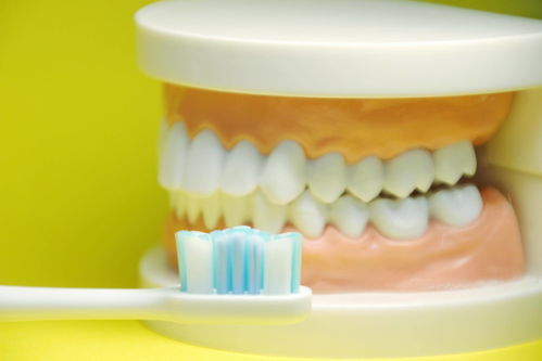 你所谓的刷牙可能是在锯牙，南卡shiny助你高效正确清洁牙齿