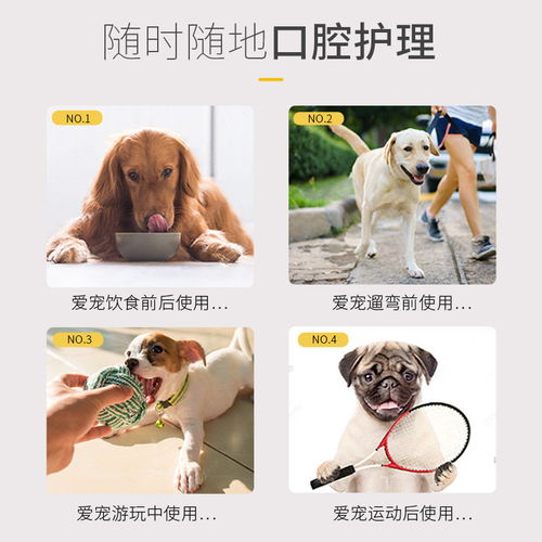 狗狗漱口水 宠物口腔健康的新选择